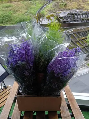 a bouquet of purple flowers in a box on a table at Ereens homestay 3 bedroom apartment in Brinchang