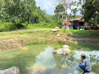 a man sitting on a rock in a pond at River Chalet Kemangi Valley Baling in Kampong Kemangi