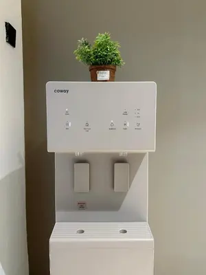 a plant sitting on top of a white cabinet at The Jubilee Guest House in Ipoh