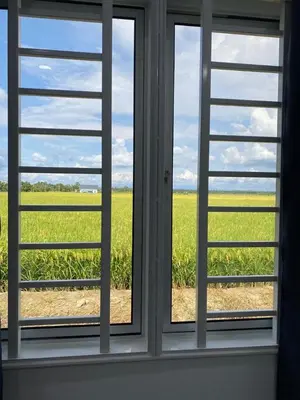 an open window with a view of a field of crops at IDAMAN COTTAGE Sekinchan in Tanjung Karang