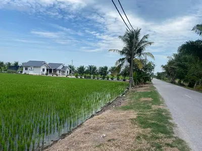 a house on the side of a road next to a rice field at IDAMAN COTTAGE Sekinchan in Tanjung Karang