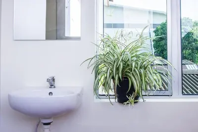 a bathroom with a sink and a plant in a window at Plumeria 4BR Garden House by uBook in Butterworth