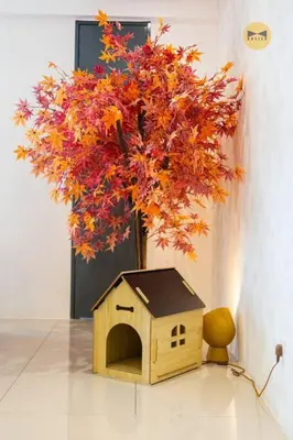 a bird house sitting in front of a tree at Spacious 3BR in Tropicana 218 at Central Location & Food Hunt Friendly in George Town