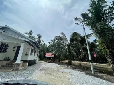 a street in front of a house with palm trees at Anggerik Homestay suasana kampung in Kampong Batu Dua Puloh Tiga