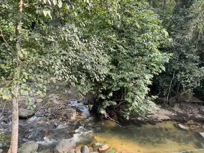 a stream of water with trees next to a river at Villa Kuala Woh Resort in Tapah