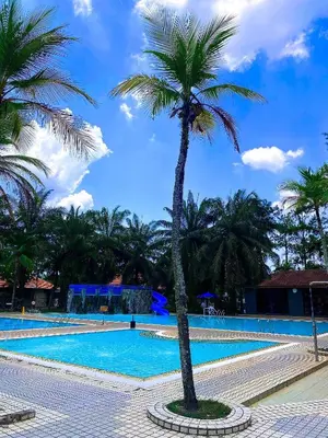 a palm tree in front of a swimming pool at Cinta Sayang Resort in Sungai Petani