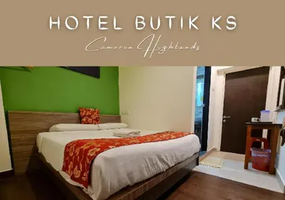 a hotel bedroom with two beds and green walls at Hotel Butik KS in Brinchang