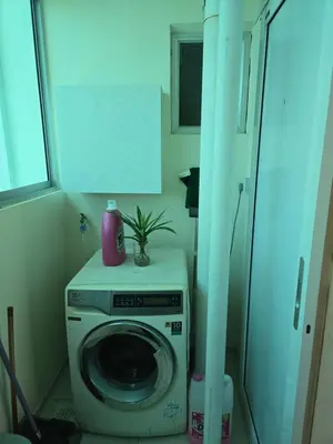 a washing machine with a plant on top of it at Hazel Luxe Apartment in Permatang Pauh