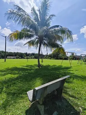 a bench in a park with a palm tree at IlhamD' Homestay Kulim 5 Bedroom with 3 Toilet in Lunas