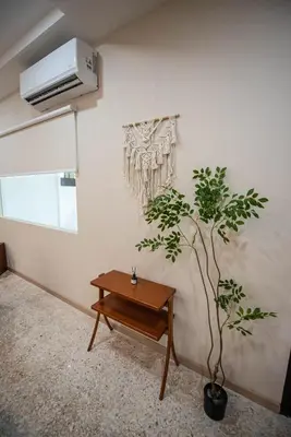 a table and a plant in a room with a wall at De Luma TheRumah 5 bedroom 3 bathroom in Bukit Mertajam