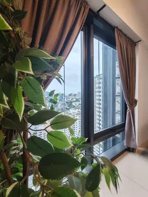 a window with a plant in front of it at \u69df\u57ce\u4e2d\u8def\u4e09\u623f \u7231\u5c45\u5c4b in George Town