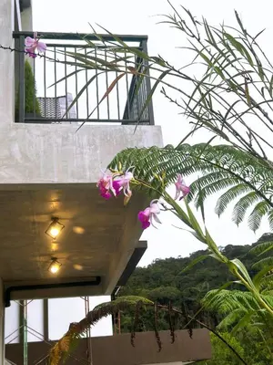 a plant with pink flowers on the side of a building at Silvan Garden Cameron Highlands in Tanah Rata