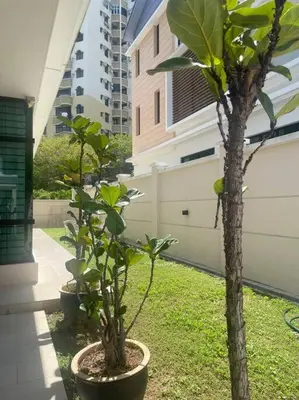 two trees in pots in a yard next to a building at Batu Ferringhi Home Near Beach in Penang in Batu Ferringhi