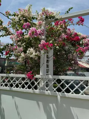 a white fence with pink flowers on top of it at Heritage Cottage in Georgetown in Jelutong