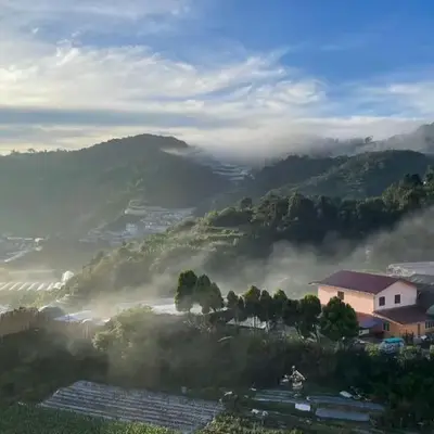 GreenValley
