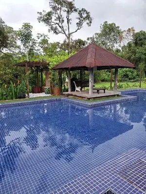 a swimming pool with a gazebo with a cat sitting in it at Bagas Zakariah Orchard Lodge in Gopeng