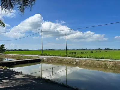a road with a pool of water next to a field at Rimbunan Padi Roomstay in Bagan Serai