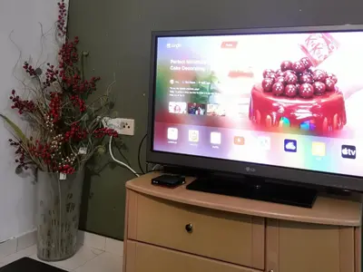 a television on a dresser with a vase of flowers at Alle Vacation Homes Tambun Ipoh in Ipoh