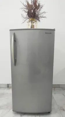 a white refrigerator with a plant on top of it at 33 HOMESTAY 4 Room 5 MINUTE TO LEANING TOWER in Teluk Intan