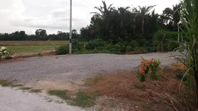 an empty road with flowers on the side of it at D'Binjai Homestay & Roomstays Kuala Kangsar in Kuala Kangsar