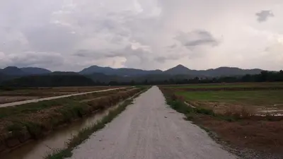 a dirt road in a field with mountains in the background at D'Binjai Homestay & Roomstays Kuala Kangsar in Kuala Kangsar