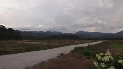 a dirt road in a field with mountains in the background at D'Binjai Homestay & Roomstays Kuala Kangsar in Kuala Kangsar