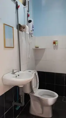 a bathroom with a white toilet and a sink at Pangkor Fish House in Pangkor