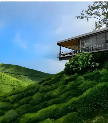 a house on top of a green hill at Serene Minimalist Family Retreat 2-7pax &Sunrise View in Brinchang