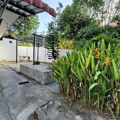 a patio with a bunch of plants at TG103a Pet Friendly 15pax, near beach side in Tanjung Bungah