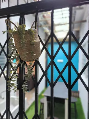 a potted plant hanging from a fence at TG103a Pet Friendly 15pax, near beach side in Tanjung Bungah