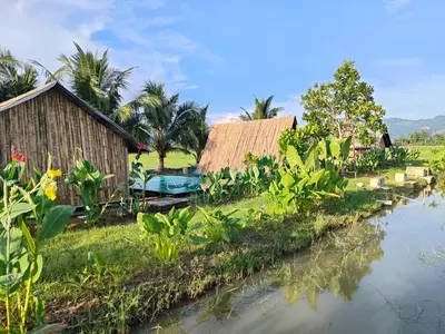 a river with houses and trees and a body of water at Love UU Garden - Paddy View Stay with Bicycle Ride in Balik Pulau