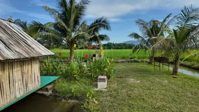 a house next to a field with palm trees at Love UU Garden - Paddy View Stay with Bicycle Ride in Balik Pulau