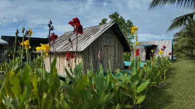 an old shack with flowers in front of it at Love UU Garden - Paddy View Stay with Bicycle Ride in Balik Pulau