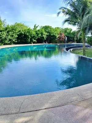 a swimming pool with blue water and palm trees at Bright Apartment in Klebang in Ipoh