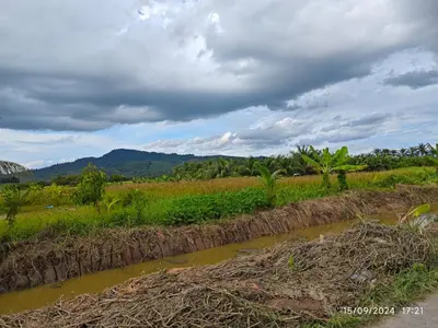 a river in the middle of a field at Syakeel Homestay Bandar Bharu, Parit Buntar & Nibong Tebal in Bandar Baharu