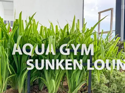 a group of corn plants with the words ayana gym summer jam at Panoramic Georgetown City & Sea View with Netflix in Jelutong