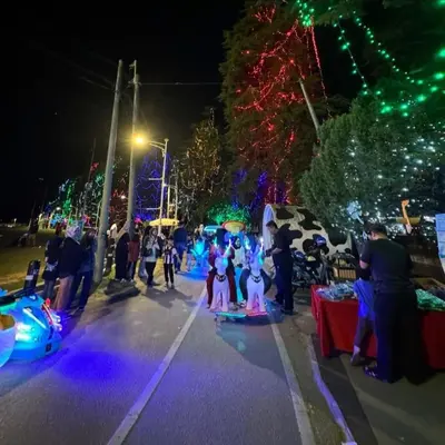 a group of people standing on a street at night at IRDINA HomestayMuslim's 2 at Emerald Avenue Brinchang Centrum in Brinchang