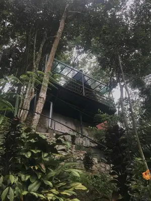 a tree house in the middle of a forest at KK Farm Stay in Ringlet