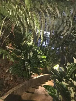 a path through a garden with palm trees at KK Farm Stay in Ringlet