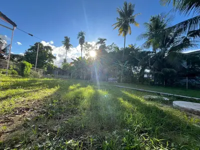 a road in the middle of a field with palm trees at Villa Aman in Georgetown in George Town