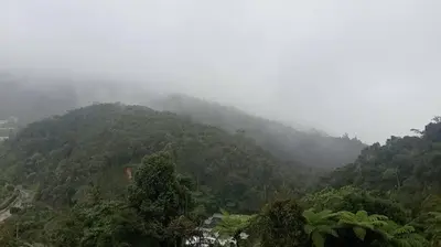 a misty mountain with trees and a road on it at Cool memories smart stay in Tanah Rata
