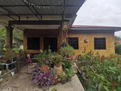 a garden with plants in front of a house at Lata Jawa in Benta