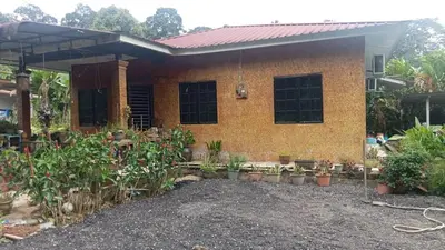a house with a lot of plants in front of it at Lata Jawa in Benta