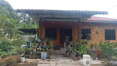 a house with a lot of potted plants in front of it at Lata Jawa in Benta