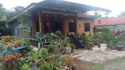 a house with a lot of plants in front of it at Lata Jawa in Benta