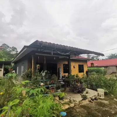 Lata Jawa