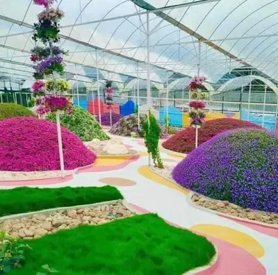 a garden with purple and pink flowers in a greenhouse at Astana D'Cameron Homestay in Brinchang