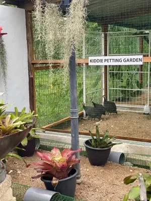 a bird cage with plants and birds in the background at Kerlingfornia Pond View Farm House in Kerling