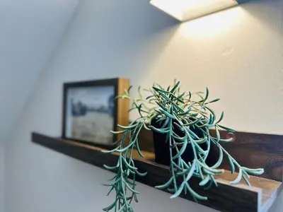 a plant sitting on a shelf in a room at New Island Luxe Retreat Vacation Home 14pax Nearby Gurney in Tanjung Bungah
