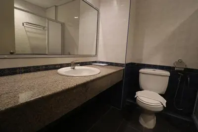 a bathroom with a toilet and a sink and a mirror at Iris House Hotel Cameron Highlands in Brinchang